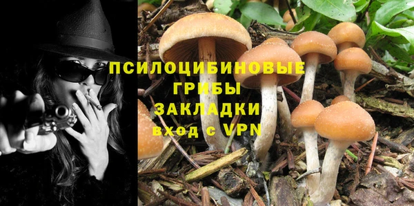 бутират Гусь-Хрустальный