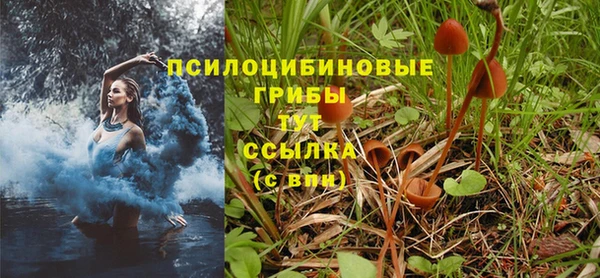 mix Гусев