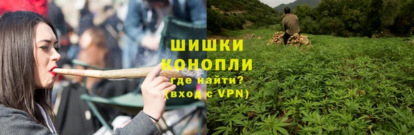 бутират Гусь-Хрустальный