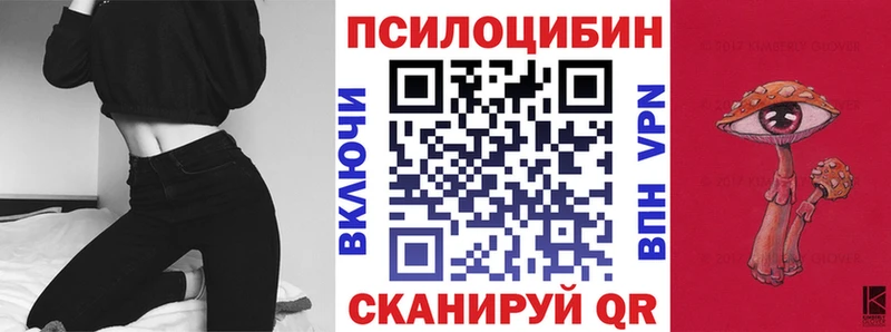 Галлюциногенные грибы GOLDEN TEACHER  магазин продажи наркотиков  OMG как зайти  Меленки 