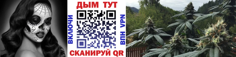 omg как войти  Меленки  Шишки марихуана конопля 